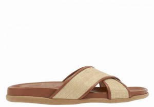 Beige Brown Women Ancient Greek Sandals Thais Footbed Slide Sandals | ARA4847NM