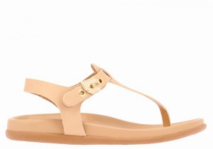 Beige Women Ancient Greek Sandals Alki Flip Flop Back-Strap Sandals | TVD6567BZ