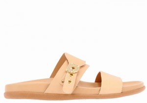 Beige Women Ancient Greek Sandals Latria Slide Sandals | LKK1096ZY