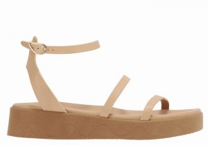 Beige Women Ancient Greek Sandals Nissida Leather Platform Sandals | UWS2228SB