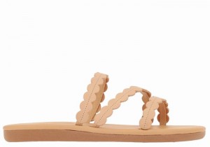 Beige Women Ancient Greek Sandals Oceanis Slide Sandals | OIA9495OB