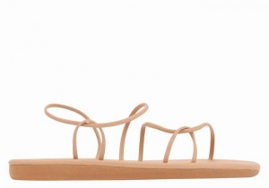 Beige Women Ancient Greek Sandals Proorismos Back-Strap Sandals | TIM2568FL