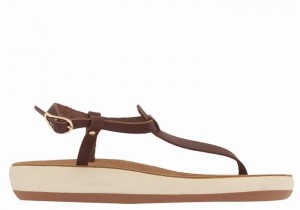 Coffee Women Ancient Greek Sandals Lito Comfort Back-Strap Sandals | FQU1739FT