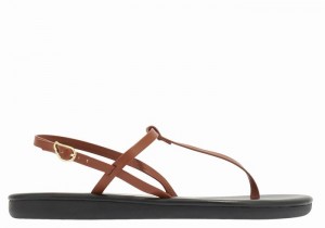 Dark Brown Women Ancient Greek Sandals Lito Flip Flop Back-Strap Sandals | CXY1372LB