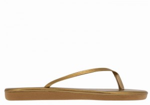 Gold Brown Women Ancient Greek Sandals Saionara Flip Flops | EGB1883CE