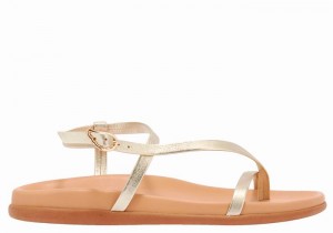 Gold White Women Ancient Greek Sandals Aimilia Back-Strap Sandals | QPR629NY