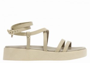 Grey Brown Women Ancient Greek Sandals Aristea Leather Platform Sandals | NWC6937SU