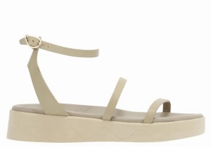 Grey Brown Women Ancient Greek Sandals Nissida Leather Platform Sandals | TOG6461ZB