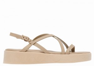 Grey Brown Women Ancient Greek Sandals Silia Leather Platform Sandals | LPS3164MW