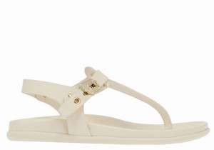 White Women Ancient Greek Sandals Alki Flip Flop Back-Strap Sandals | ZXZ769KO