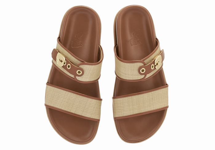 Beige Brown Women Ancient Greek Sandals Latria Slide Sandals | CLF834QV