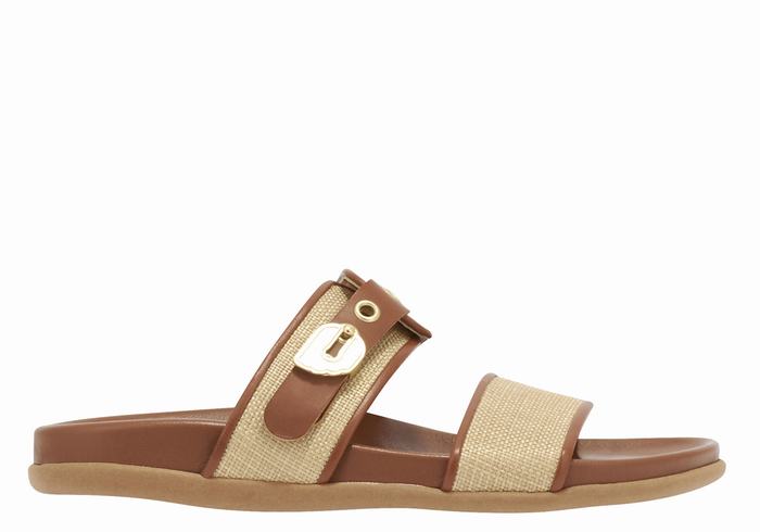 Beige Brown Women Ancient Greek Sandals Latria Slide Sandals | CLF834QV