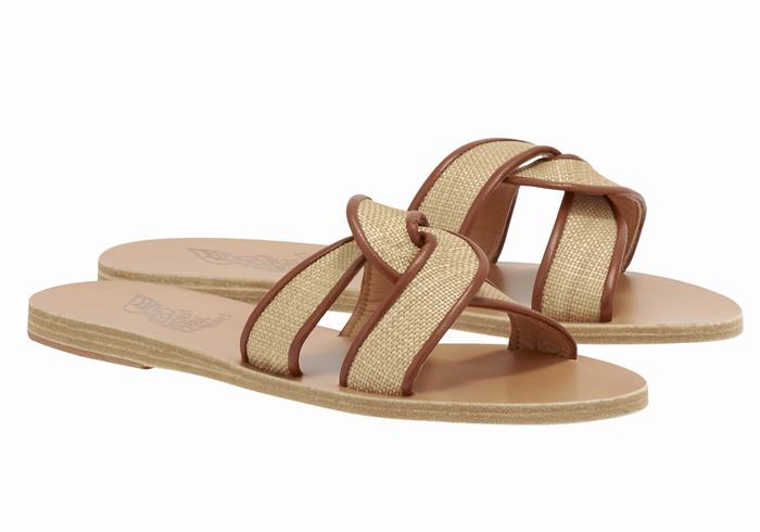 Beige Brown Women Ancient Greek Sandals Desmos Slide Sandals | HDZ7321CQ