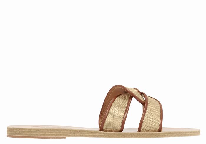 Beige Brown Women Ancient Greek Sandals Desmos Slide Sandals | HDZ7321CQ