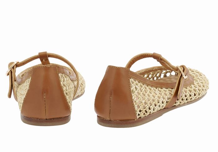 Beige Brown Women Ancient Greek Sandals Aerati Ballerina | NNW5634IX