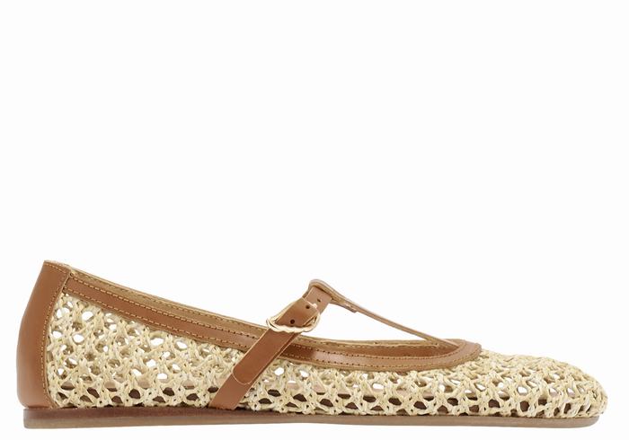 Beige Brown Women Ancient Greek Sandals Aerati Ballerina | NNW5634IX