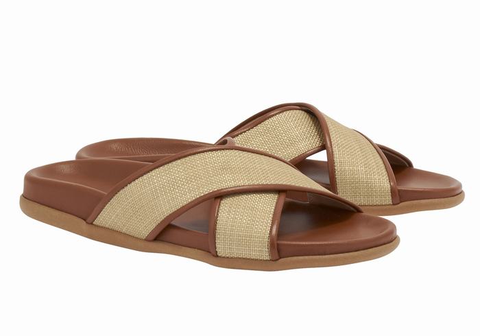 Beige Brown Women Ancient Greek Sandals Thais Footbed Slide Sandals | ARA4847NM