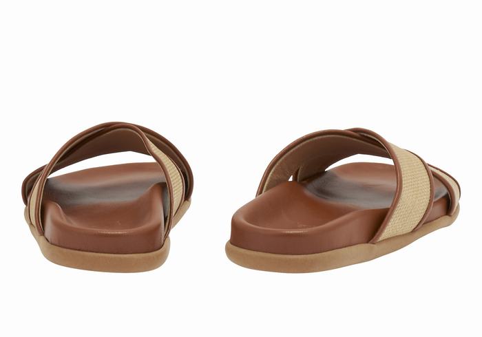 Beige Brown Women Ancient Greek Sandals Thais Footbed Slide Sandals | ARA4847NM