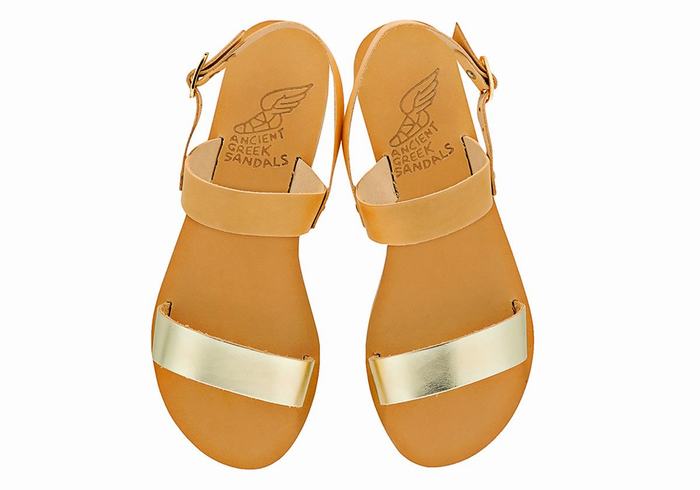 Beige Gold White Women Ancient Greek Sandals Clio Back-Strap Sandals | WMJ9962LF