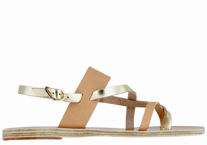 Beige Gold White Women Ancient Greek Sandals Alethea Leather Back-Strap Sandals | WSM453CJ