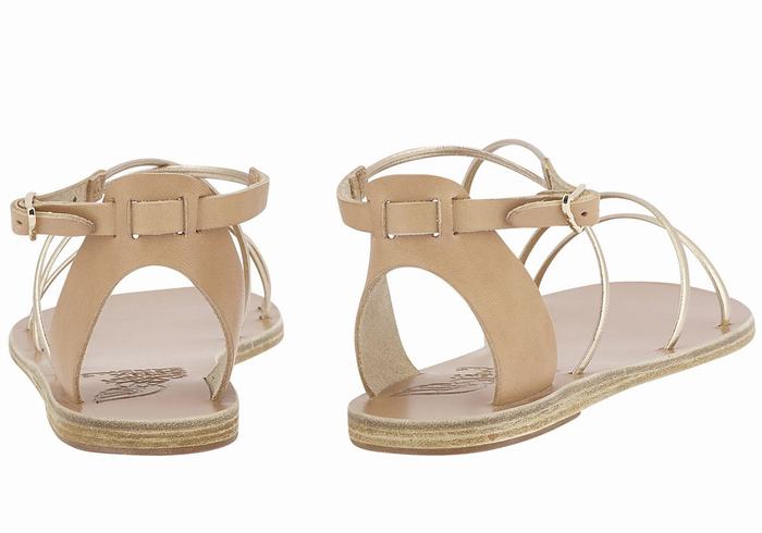 Beige Gold White Women Ancient Greek Sandals Meloivia Ankle Strap Sandals | RZT6698GY