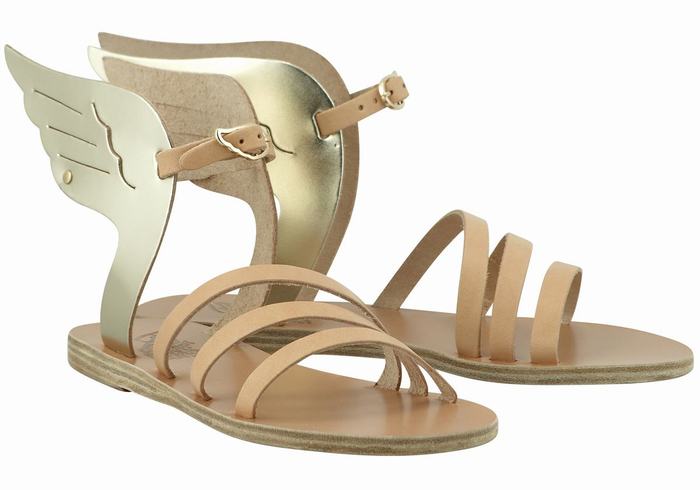 Beige Gold White Women Ancient Greek Sandals Ikaria Leather Ankle Strap Sandals | TMD7029LR