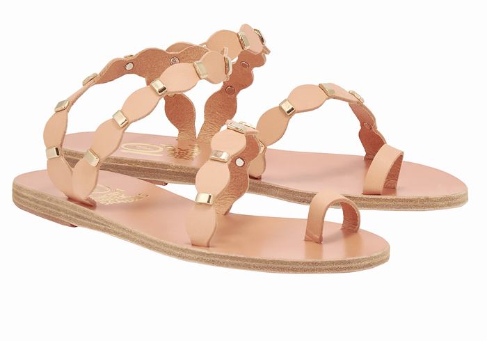 Beige Gold Women Ancient Greek Sandals Dauxerre Toe-Post Sandals | MPN4813NS