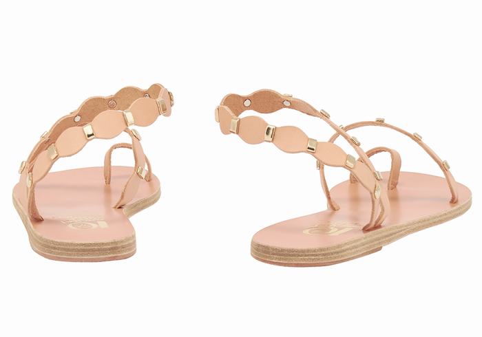 Beige Gold Women Ancient Greek Sandals Dauxerre Toe-Post Sandals | MPN4813NS