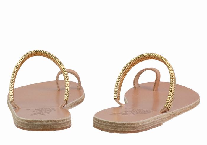 Beige Gold Women Ancient Greek Sandals Konaki Toe-Post Sandals | ENK7072TI