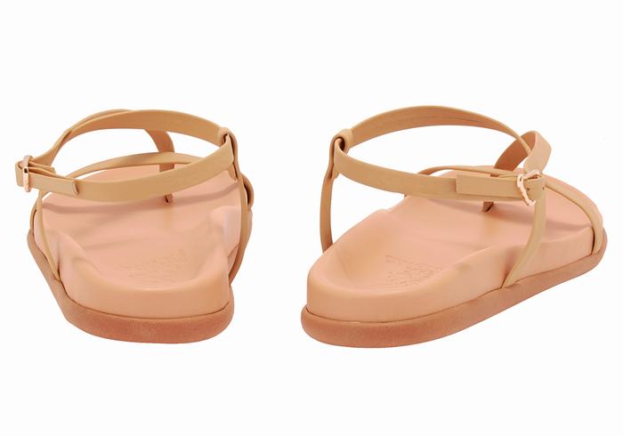 Beige Women Ancient Greek Sandals Aimilia Back-Strap Sandals | JXC8147XD