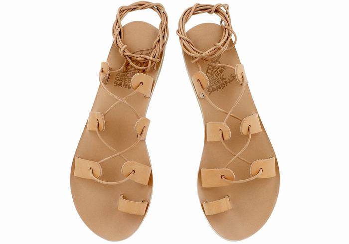 Beige Women Ancient Greek Sandals Alcyone Leather Gladiator Sandals | WSM1791QC