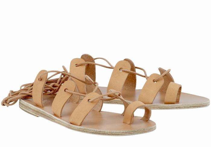 Beige Women Ancient Greek Sandals Alcyone Leather Gladiator Sandals | WSM1791QC