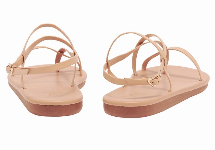 Beige Women Ancient Greek Sandals Alethea Back-Strap Sandals | RXV7341RG