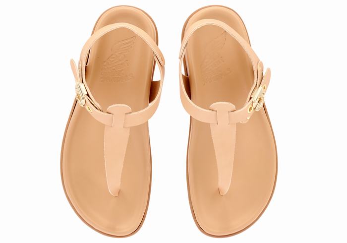 Beige Women Ancient Greek Sandals Alki Flip Flop Back-Strap Sandals | TVD6567BZ