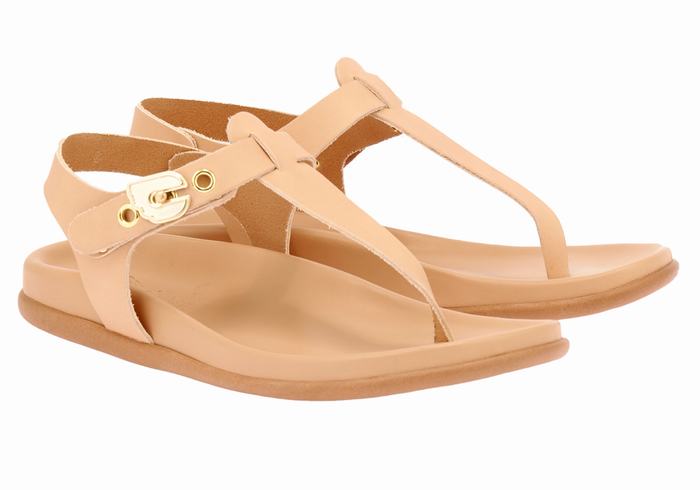 Beige Women Ancient Greek Sandals Alki Flip Flop Back-Strap Sandals | TVD6567BZ