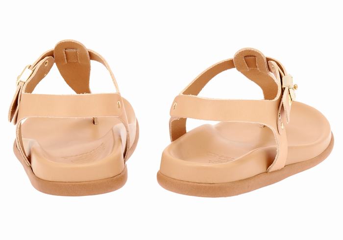 Beige Women Ancient Greek Sandals Alki Flip Flop Back-Strap Sandals | TVD6567BZ