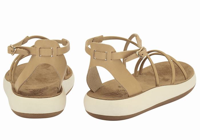 Beige Women Ancient Greek Sandals Anastasia Comfort Ankle Strap Sandals | MAR5421OZ