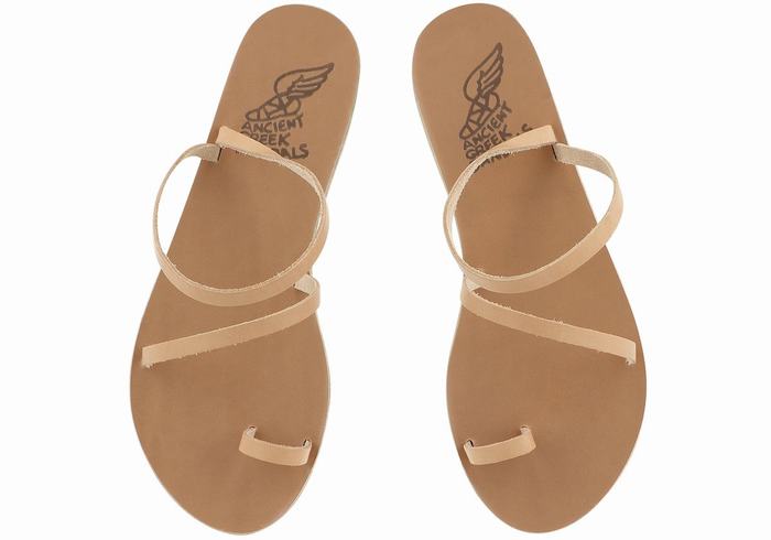 Beige Women Ancient Greek Sandals Apli Eleftheria Leather Toe-Post Sandals | UYQ4265HH