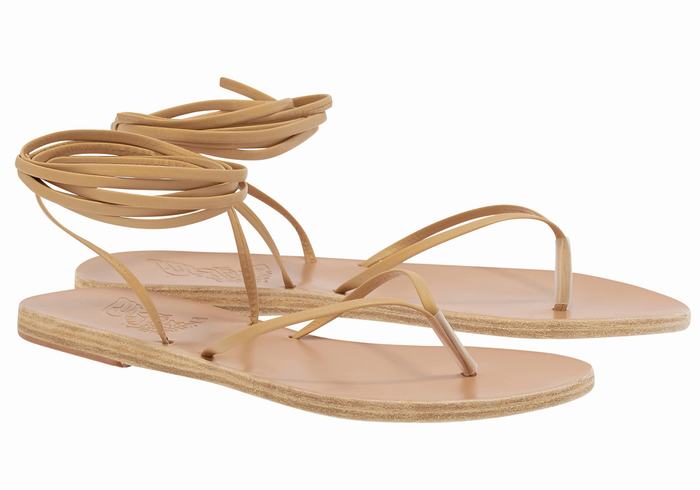 Beige Women Ancient Greek Sandals Celia Gladiator Sandals | MTN8087JC