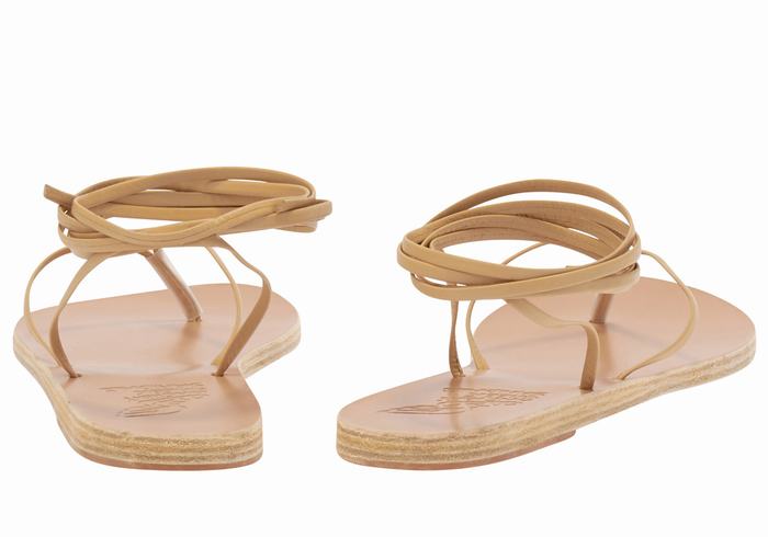 Beige Women Ancient Greek Sandals Celia Gladiator Sandals | MTN8087JC