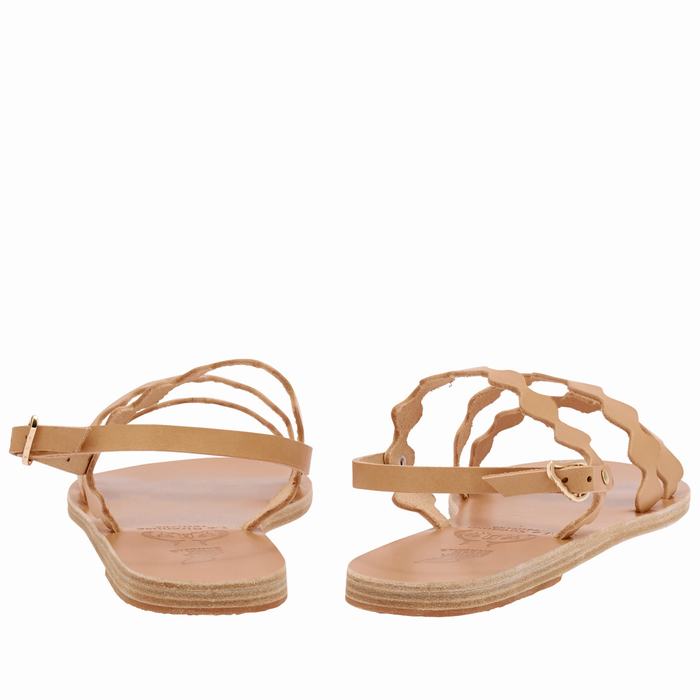 Beige Women Ancient Greek Sandals Clio Onda Back-Strap Sandals | IMO6287WD