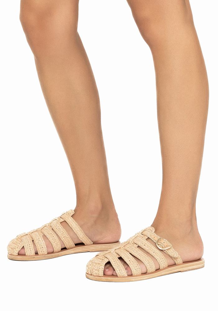 Beige Women Ancient Greek Sandals Cosmia Fisherman Sandals | DBI6881VG