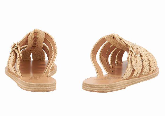 Beige Women Ancient Greek Sandals Cosmia Fisherman Sandals | DBI6881VG