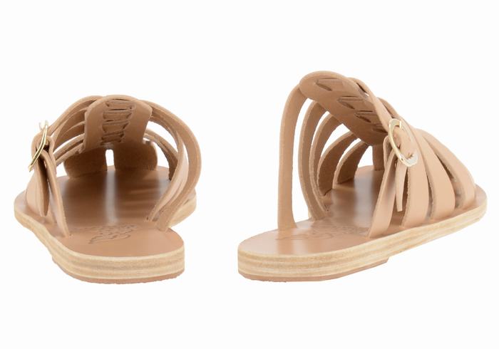 Beige Women Ancient Greek Sandals Cosmia Fisherman Sandals | SYS1263XL