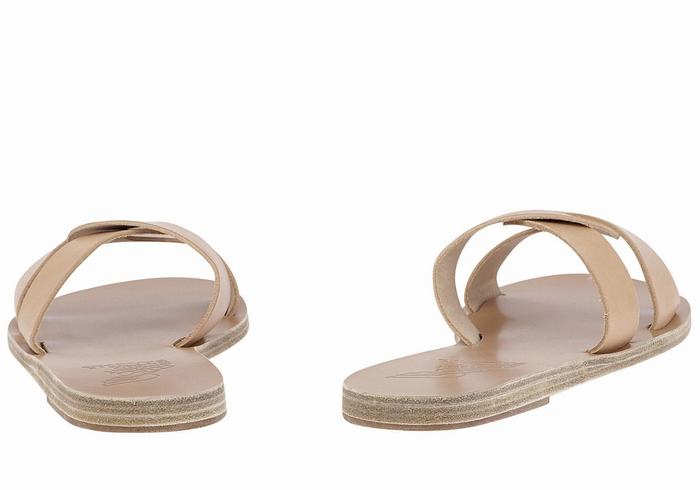 Beige Women Ancient Greek Sandals Desmos Slide Sandals | UVS8283ZX