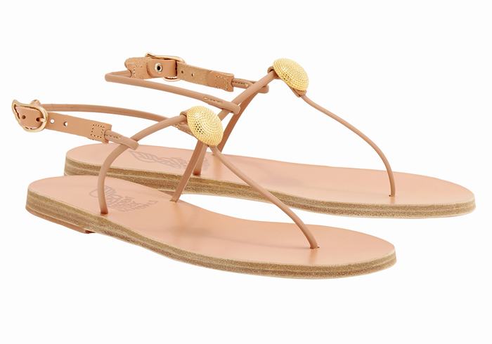 Beige Women Ancient Greek Sandals Dimitra Flip Flop Back-Strap Sandals | BYC7685PO