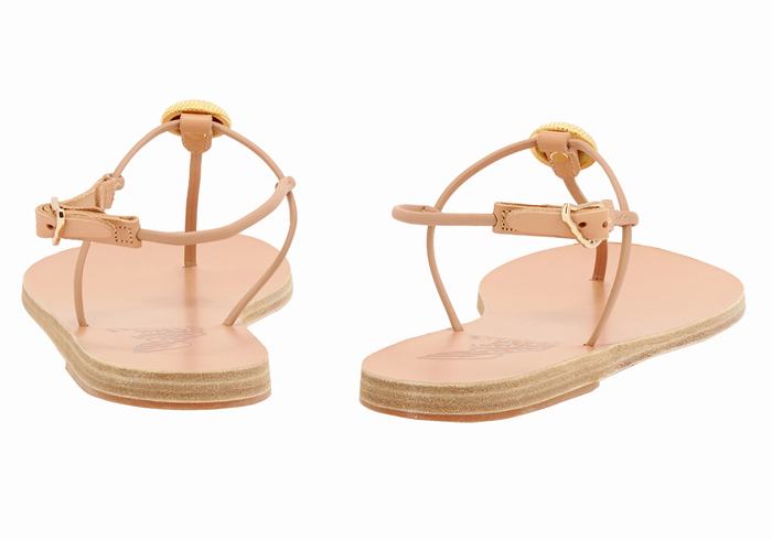 Beige Women Ancient Greek Sandals Dimitra Flip Flop Back-Strap Sandals | BYC7685PO