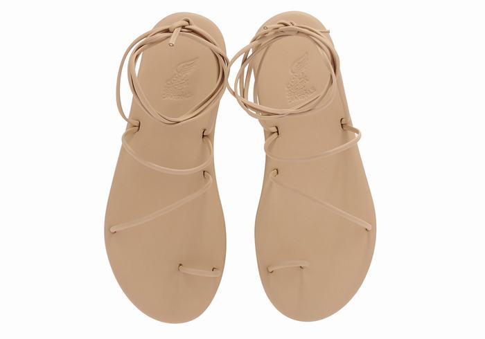 Beige Women Ancient Greek Sandals Du Toe-Post Sandals | XIZ4069CJ