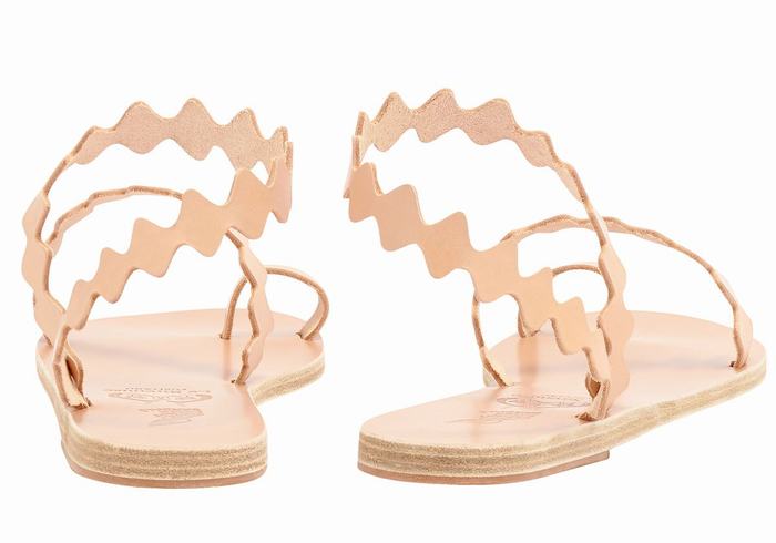 Beige Women Ancient Greek Sandals Eleftheria Onda Leather Toe-Post Sandals | WEY7776VL