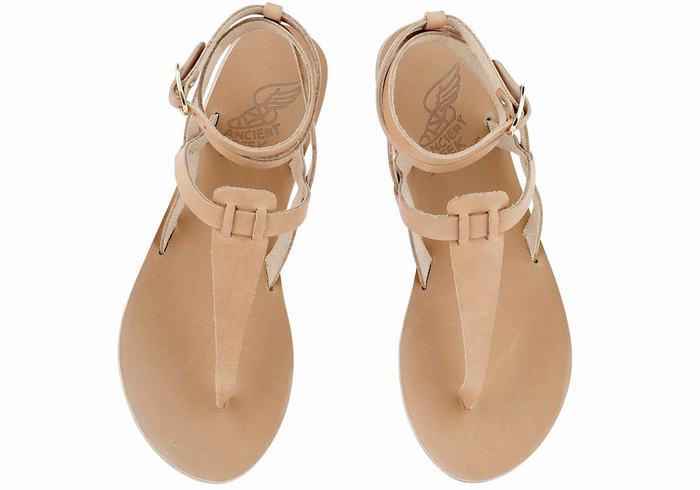 Beige Women Ancient Greek Sandals Estia Leather Ankle Strap Sandals | KUE6975VE